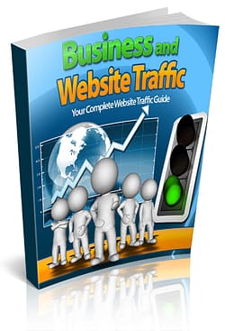 Business And Website Traffic