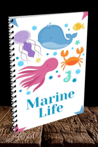 Marine Life