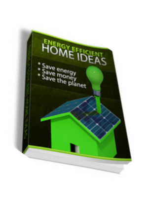 Energy Efficient Home Ideas