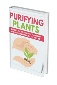 Purifying Plants